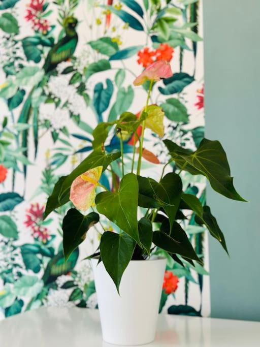 Le Jardin Secret - Jardin/Loire Apartment Tours Ngoại thất bức ảnh