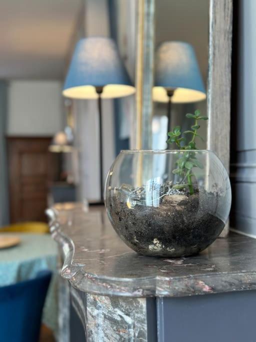 Le Jardin Secret - Jardin/Loire Apartment Tours Ngoại thất bức ảnh